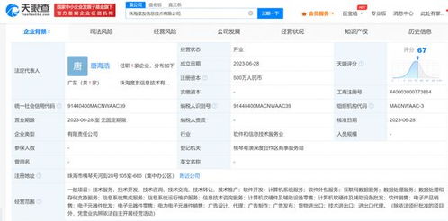 成立新公司 專注數據處理服務的戰略與前景